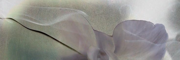 scaiye's profile banner image