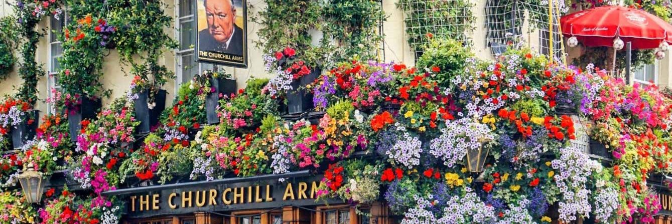 Ellen Brickley banner