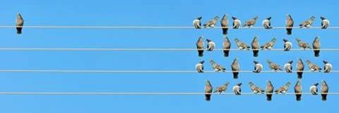 The Misanthropist banner