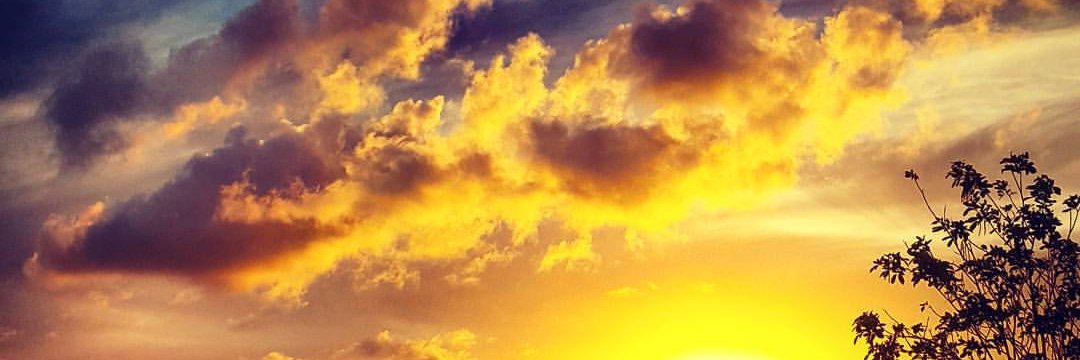 Jacey_JC18's profile banner image