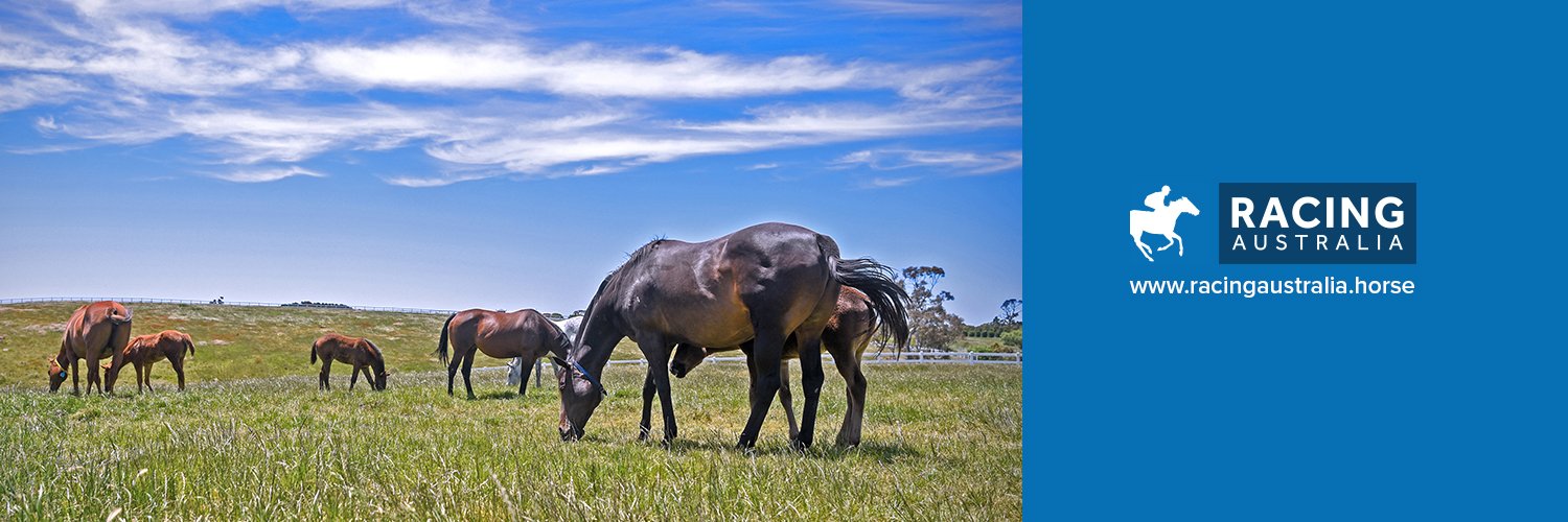 Racing Australia banner