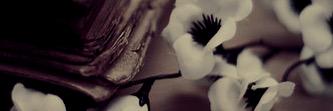 Zaher027's profile banner image