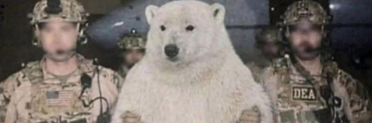 Capitan Acido banner