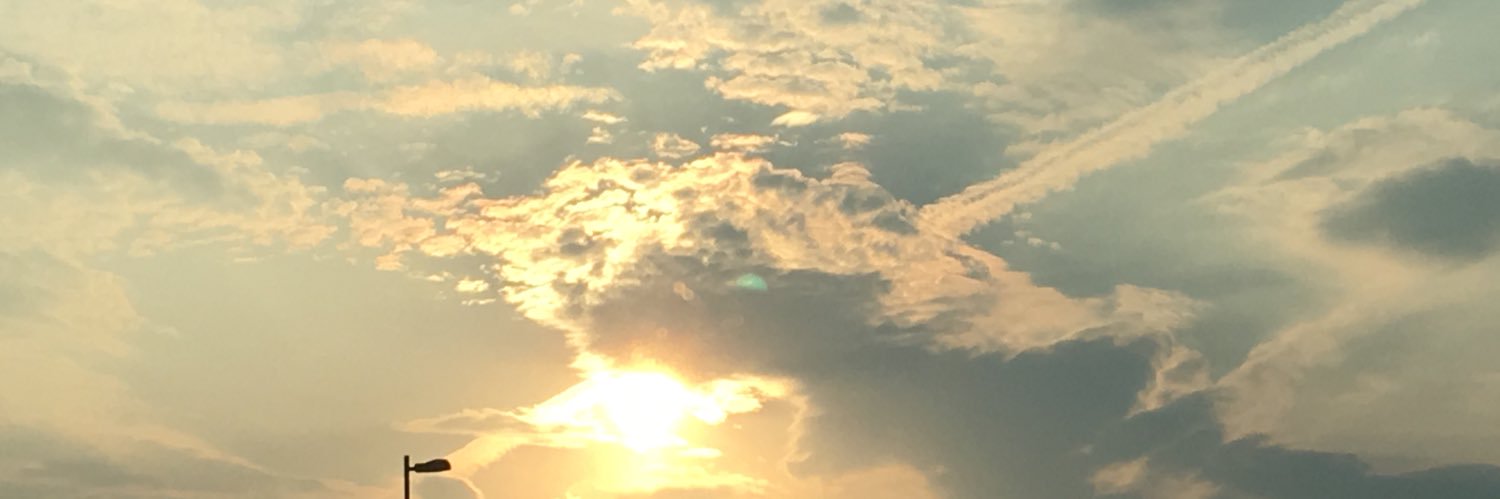 26eAnimal's profile banner image