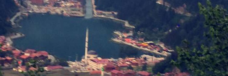 nasr446's profile banner image