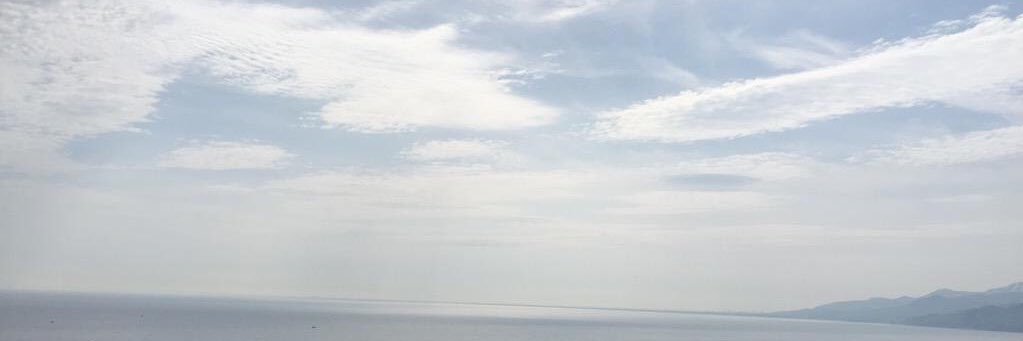 risa_ri_chan's profile banner image