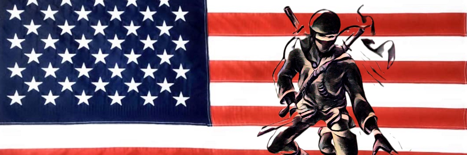 Ronin333200's profile banner image