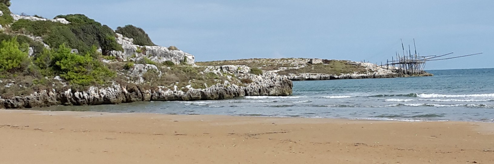 Loris Vergolini banner