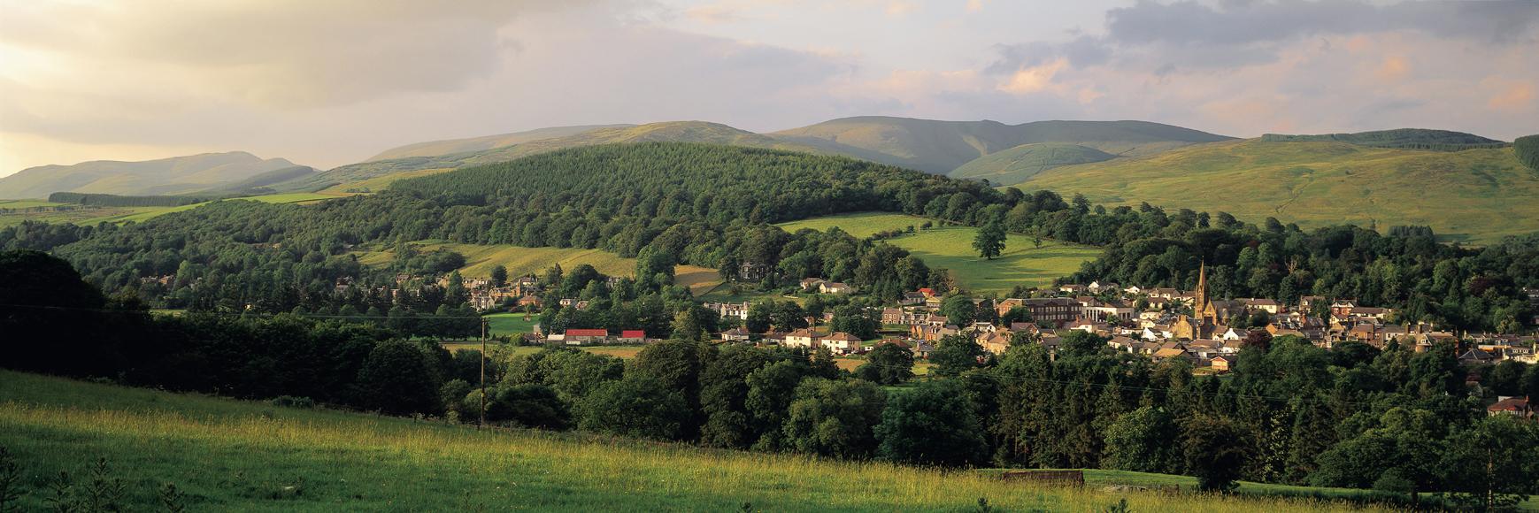 DG Food Trail banner