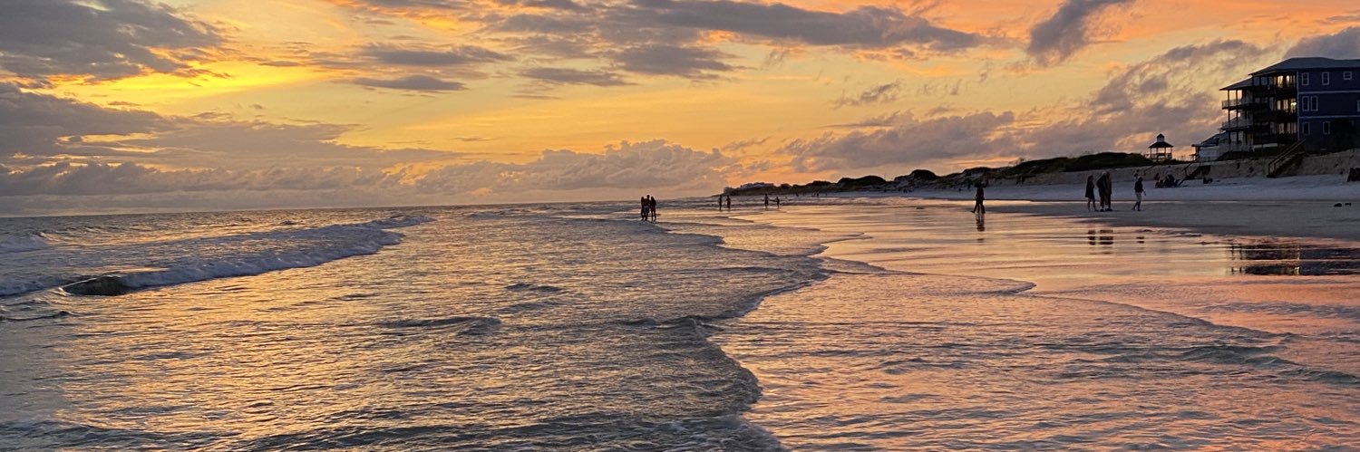 Torie Anne Cothran banner