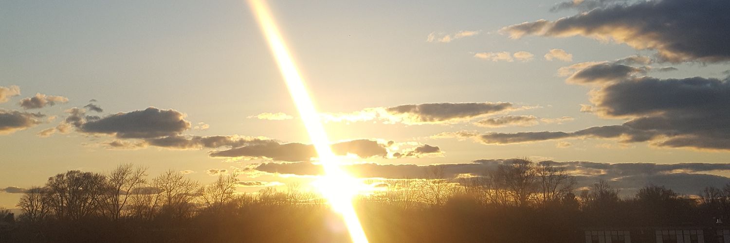 EileenDAngelo's profile banner image