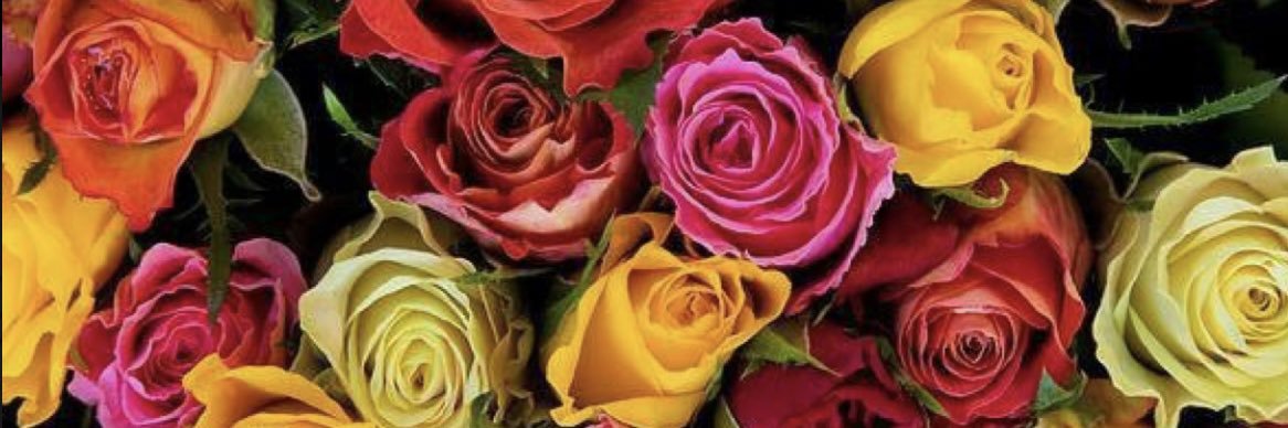 brichainz's profile banner image