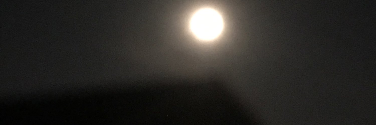 oyonious's profile banner image