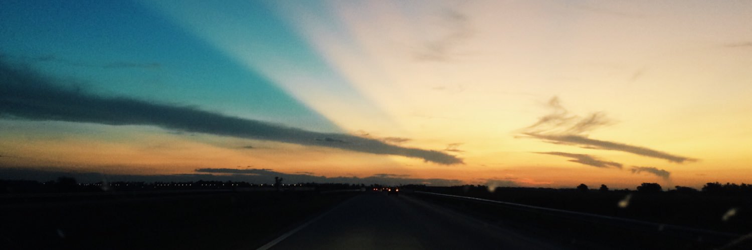 bortolosaa's profile banner image