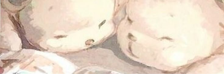 recordatus's profile banner image