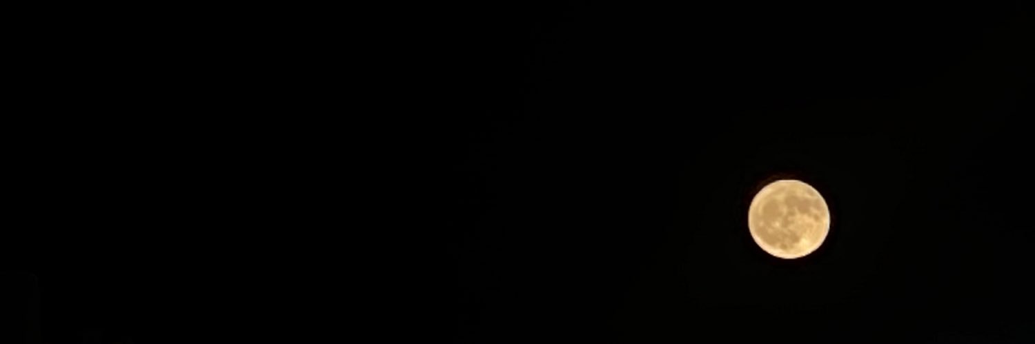 EmOccasionally's profile banner image