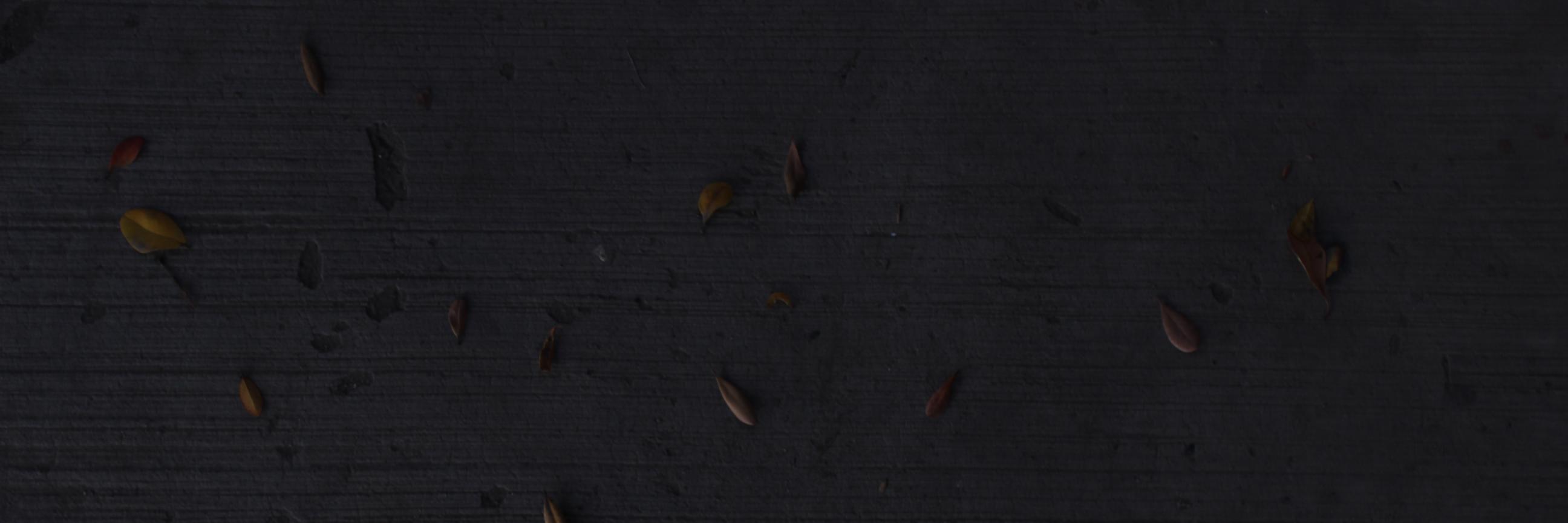 mortaldiary's profile banner image
