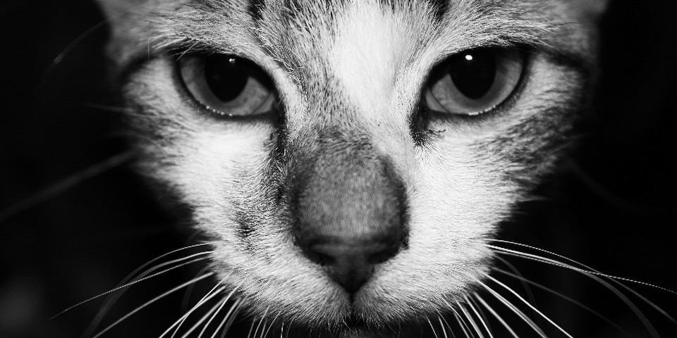 adriottt's profile banner image
