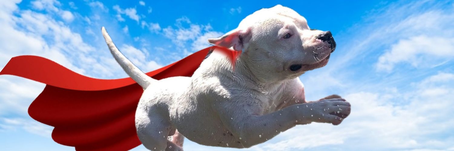 Leila Van Groenewoud banner