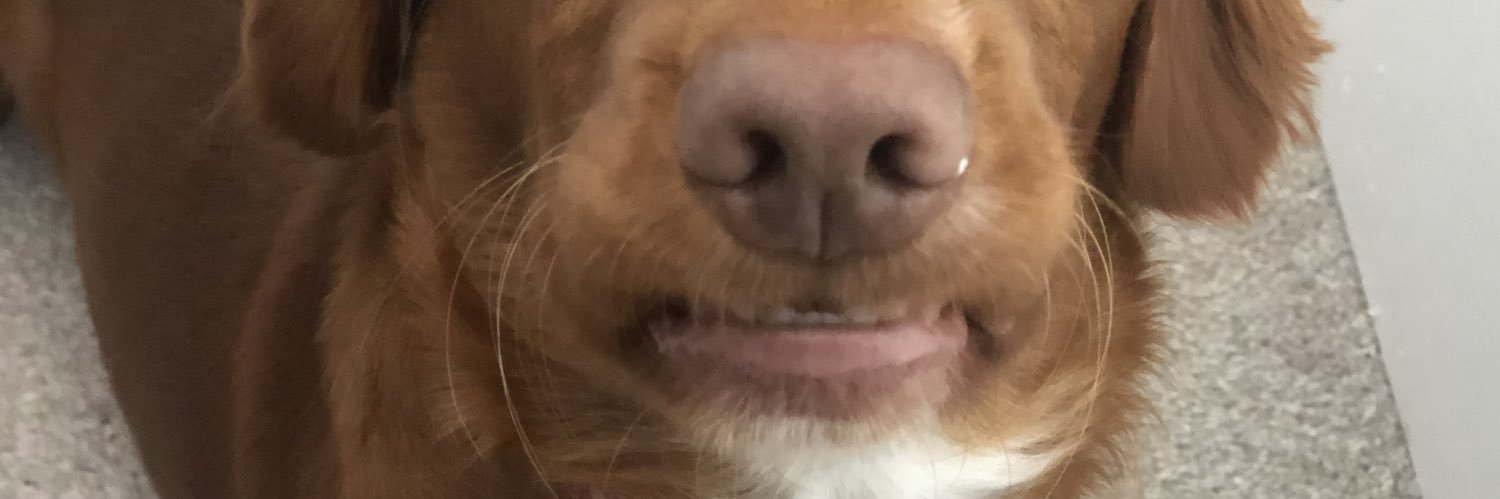 Del 🌸 banner