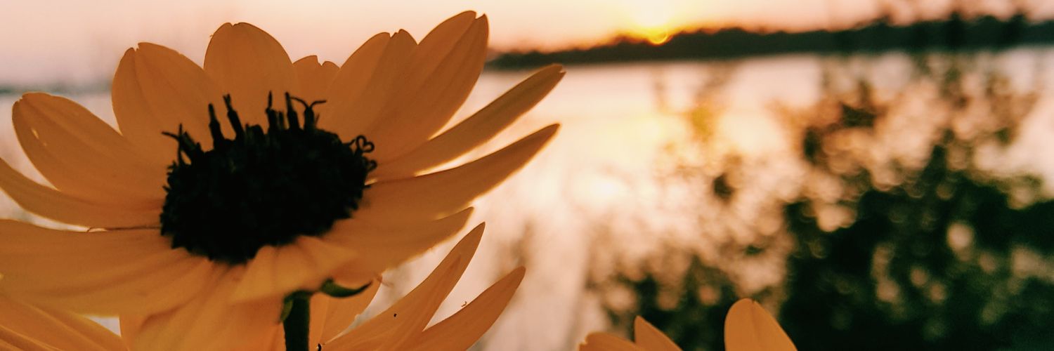 emmjay44's profile banner image
