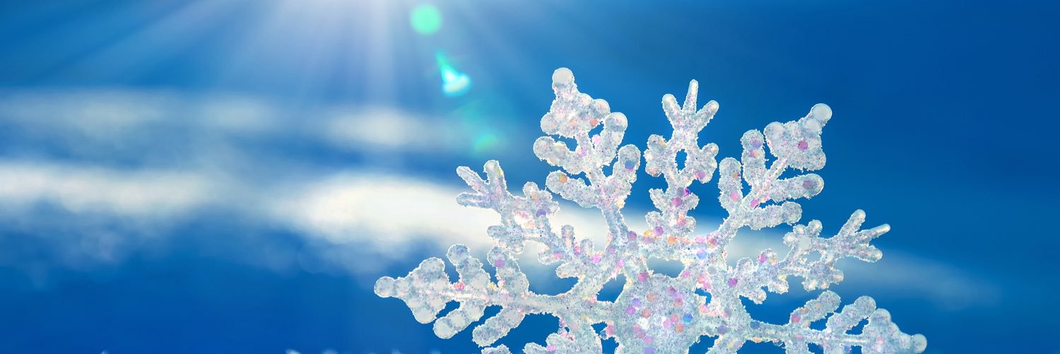 janellesnow's profile banner image
