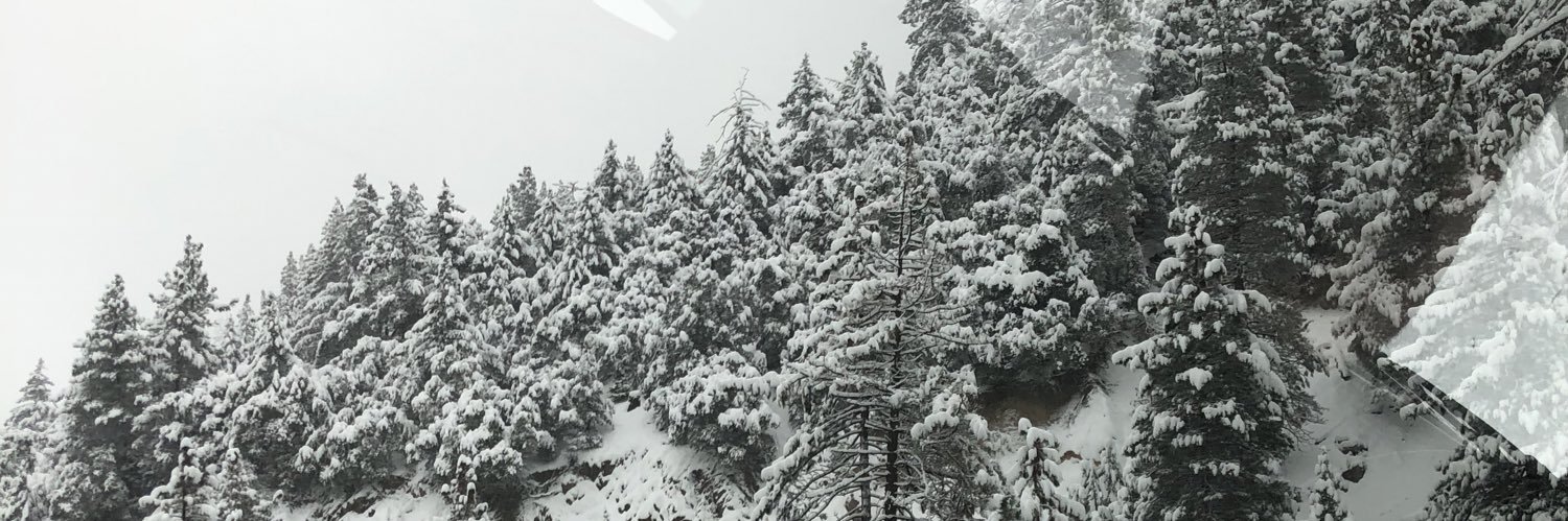 pipereden_'s profile banner image