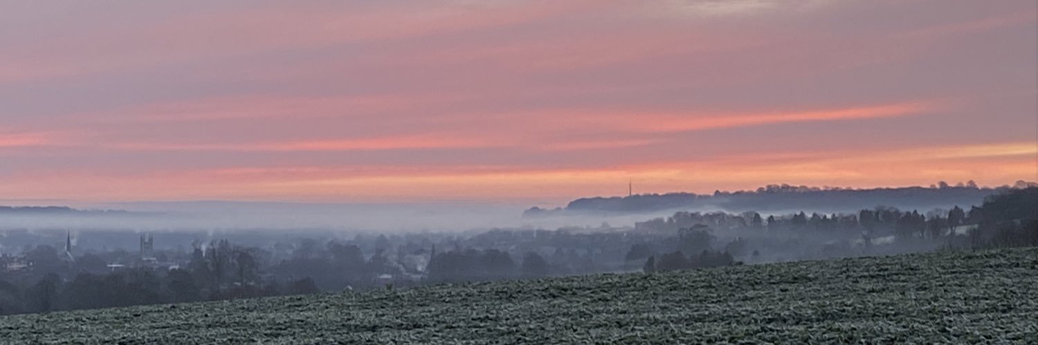 Laura Lerwill banner