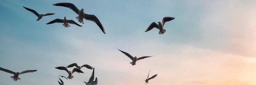 _FH189's profile banner image