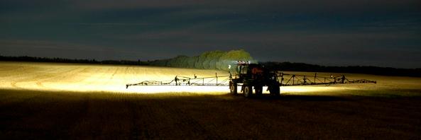 Interlake Resources banner