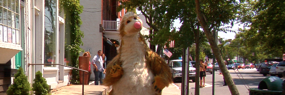 TheEcoSloth's profile banner image