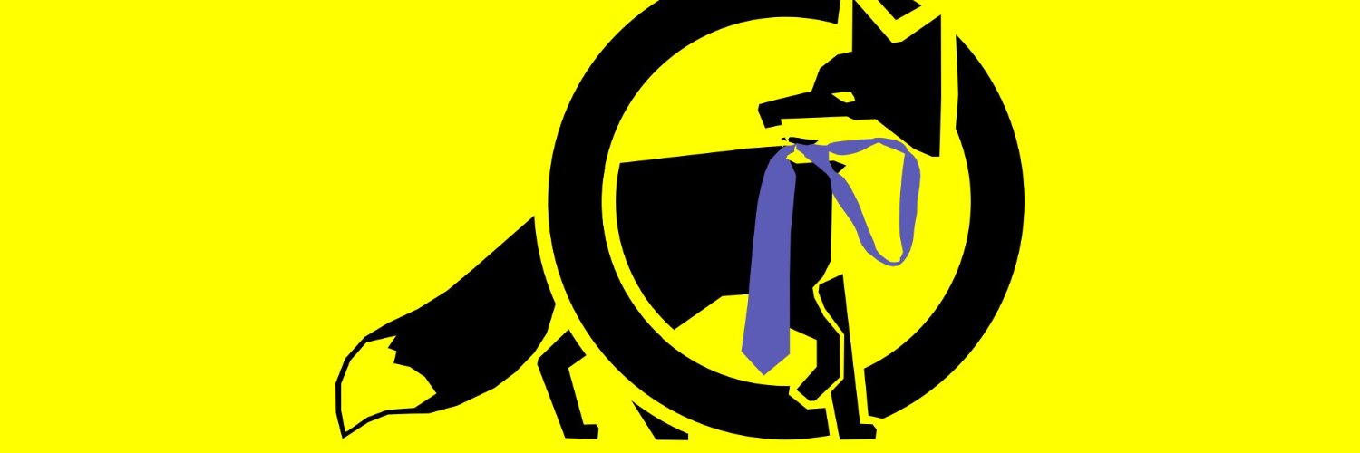 Nicolas Framont's banner