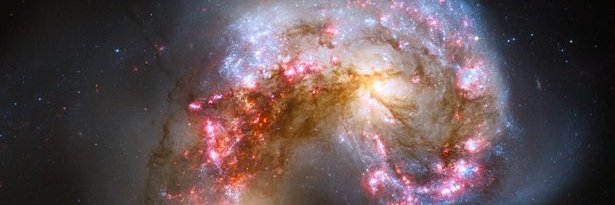 The Science Teachers Association of Victoria banner