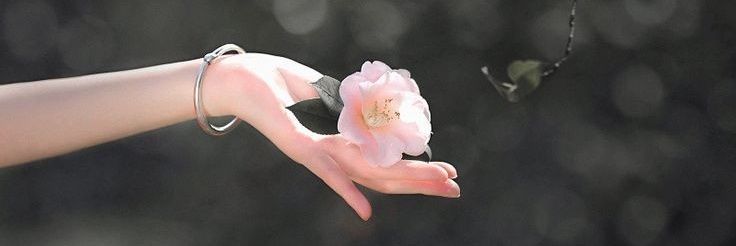 FilizErdem35's profile banner image