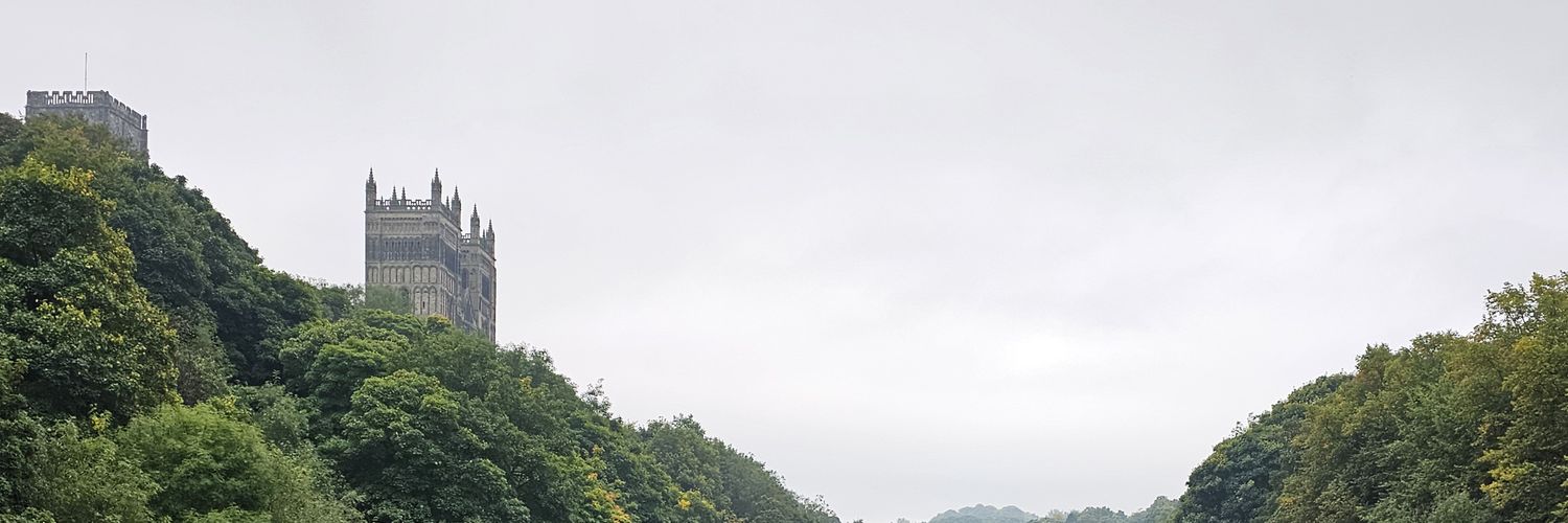 asaf_levy's profile banner image