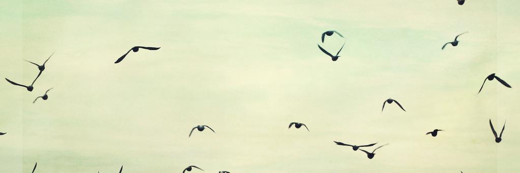 ruchipalan's profile banner image