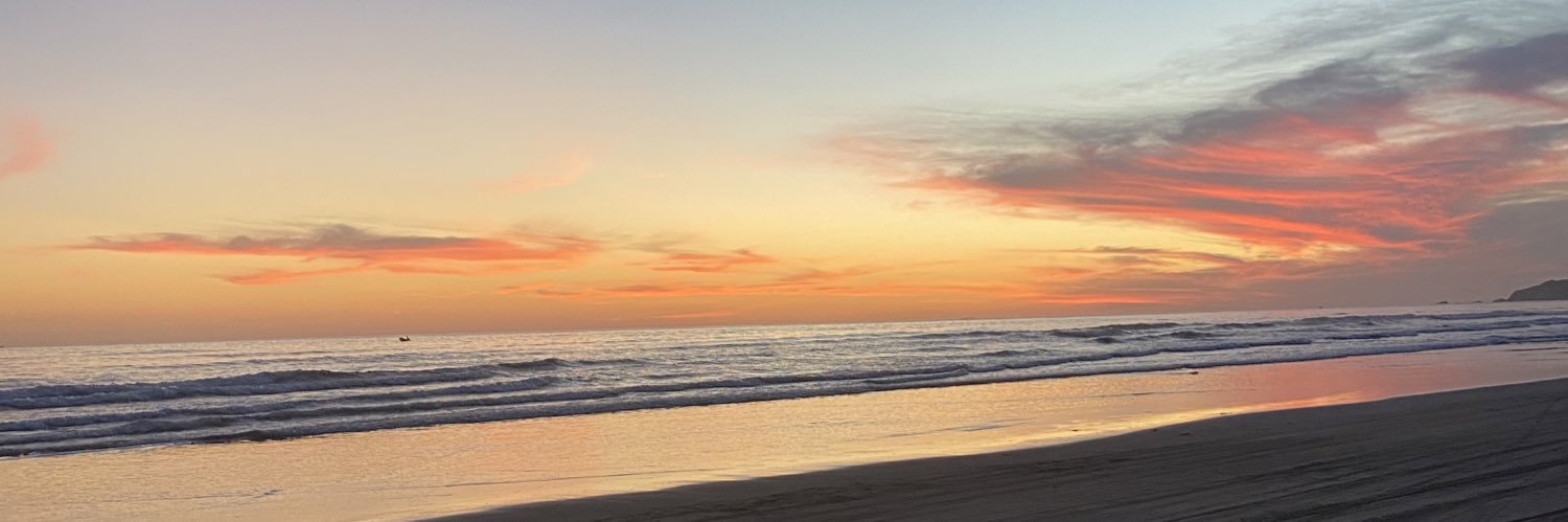 piposolis1's profile banner image