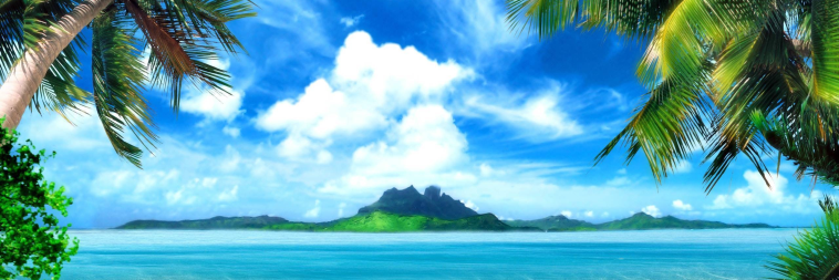 sonya8954's profile banner image
