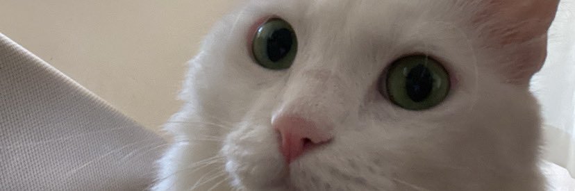 cedripl's profile banner image