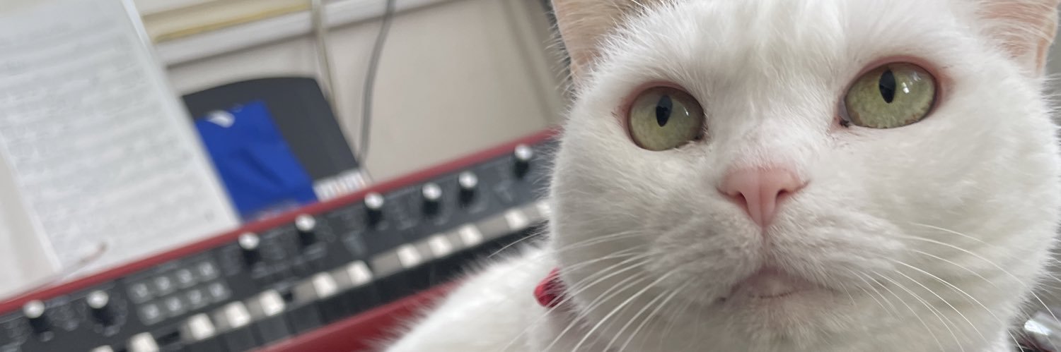 heartwitt's profile banner image