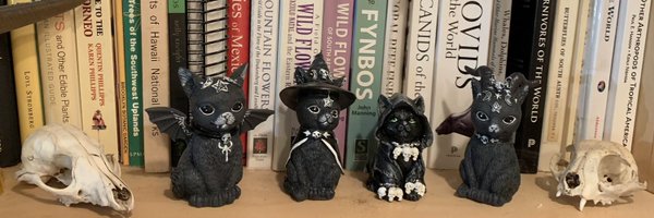 grebetrees Profile Banner