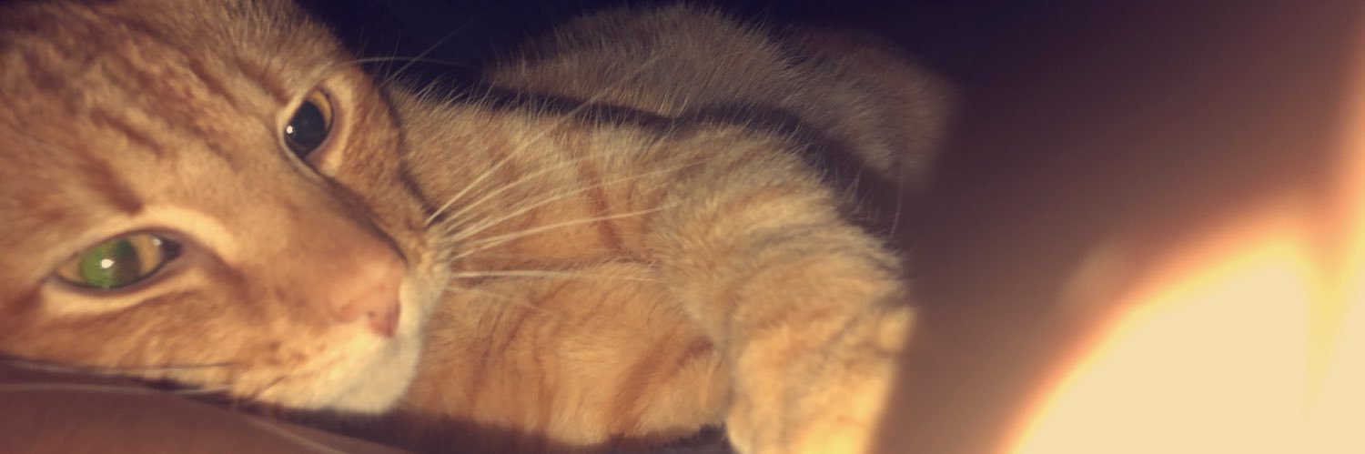 CECIMESSI_'s profile banner image