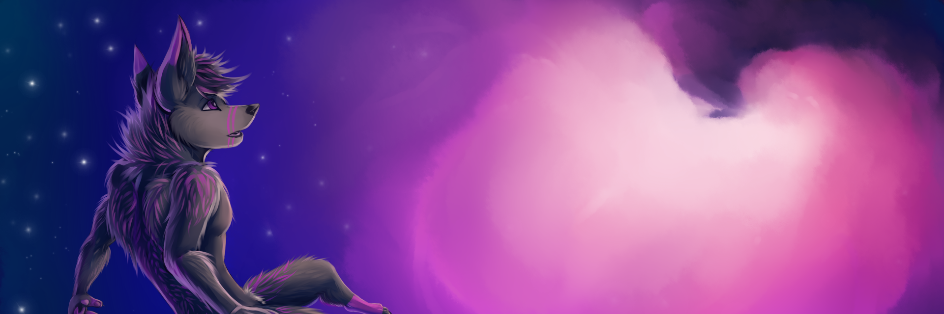 Vallopex's profile banner image