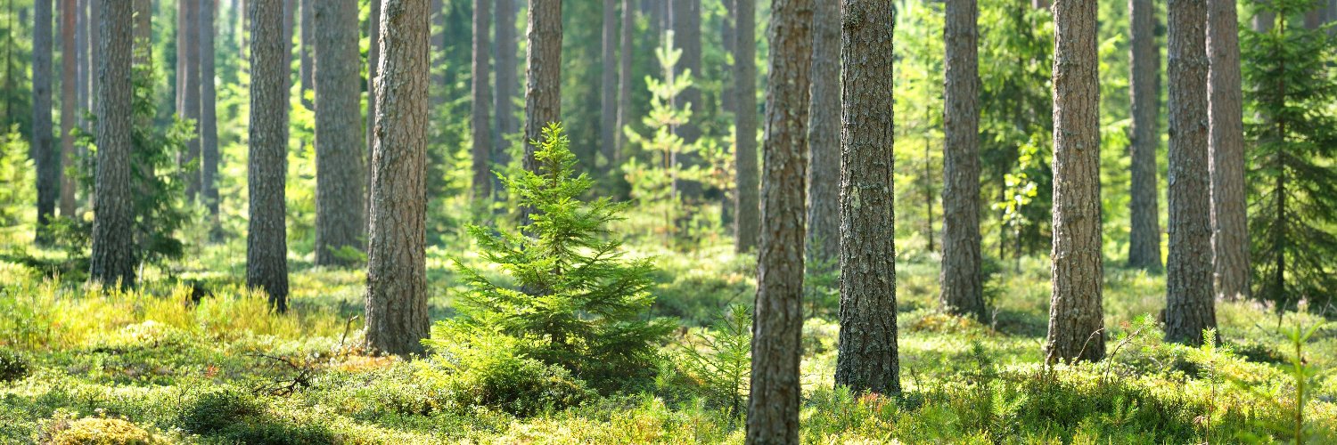 Mika Mäkinen banner