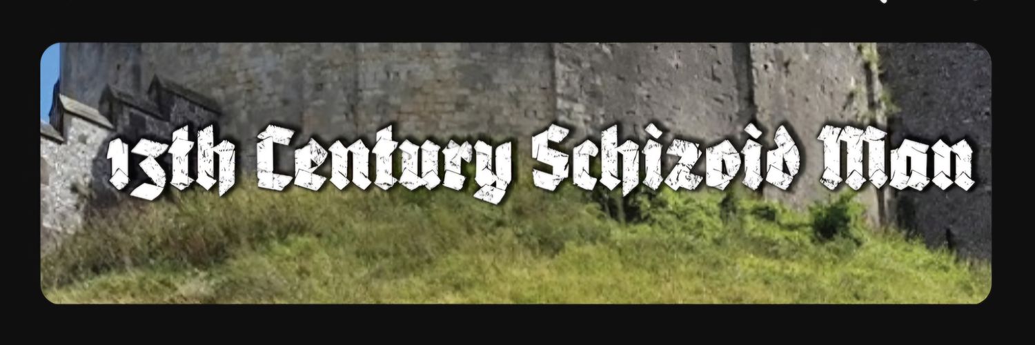 13th Century Schizoid Man's banner