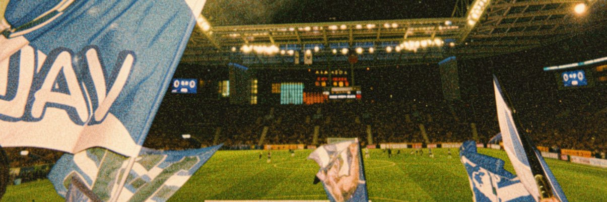 Érica banner