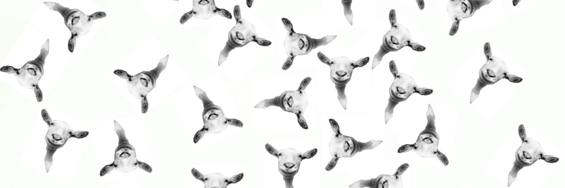 goatcritical's profile banner image