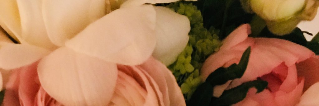 miniatyyri's profile banner image