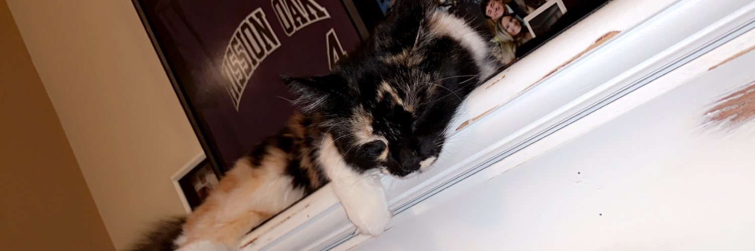 maddyservadio's profile banner image