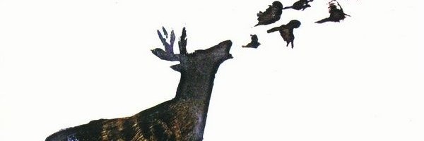 Muhapiii's profile banner image
